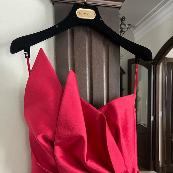 Lucian Matis Dress - Picture 14 of 17